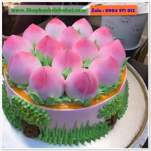 Bánh Sinh Nhật Mừng Thọ - OR80